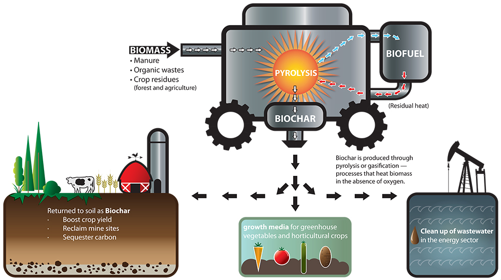 biochar production how to make biochar biochar uses biochar benefits